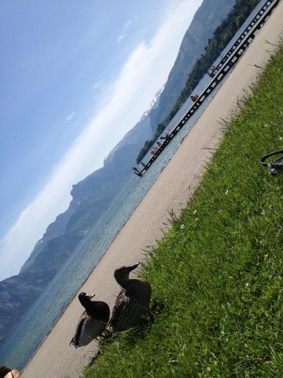 Apartment Parkvilla Traunsee Altmünster Eksteriør billede