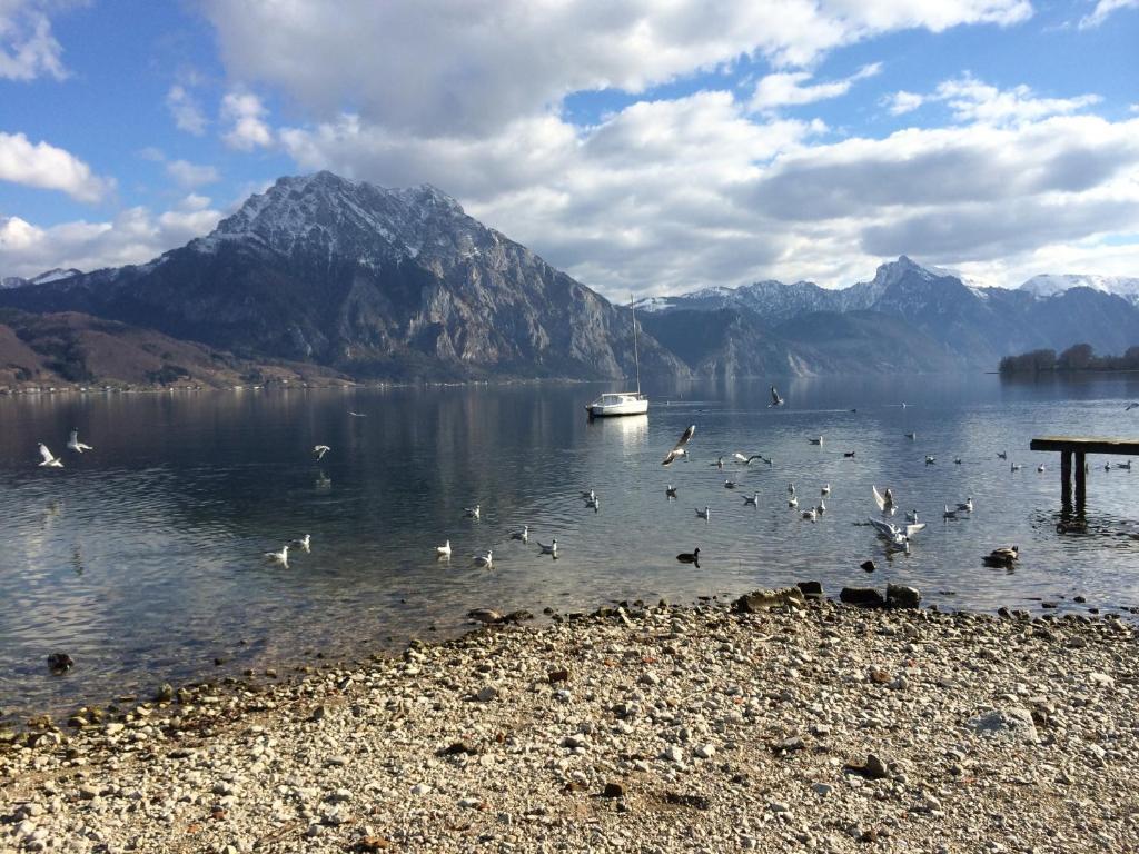 Apartment Parkvilla Traunsee Altmünster Eksteriør billede