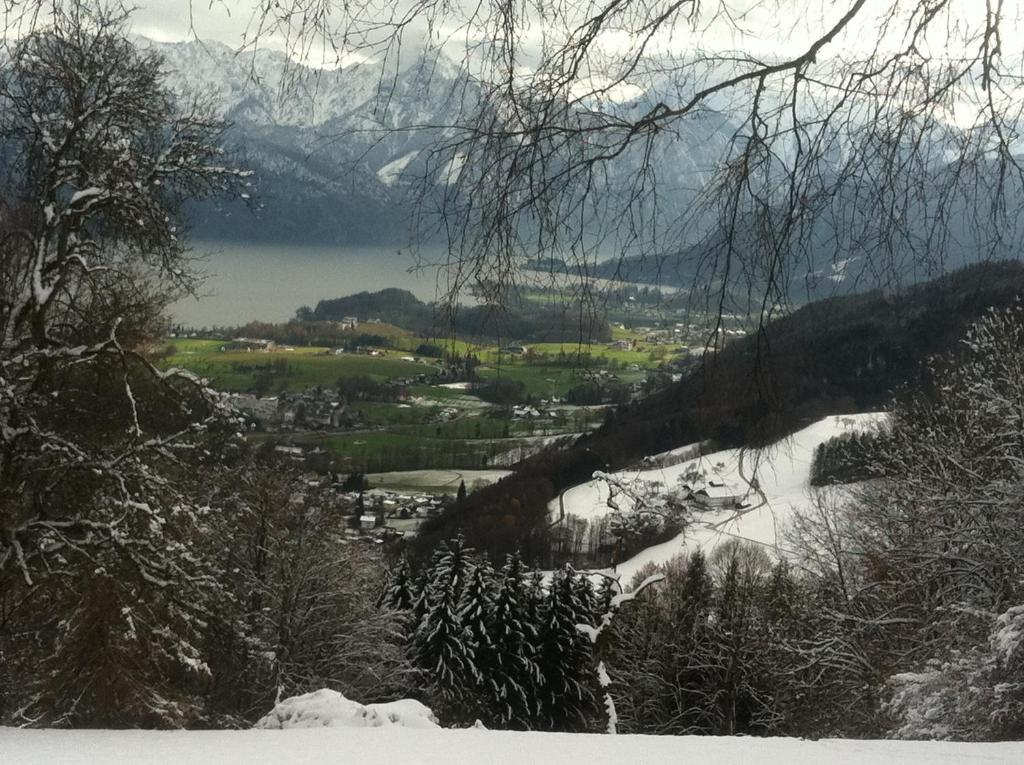 Apartment Parkvilla Traunsee Altmünster Eksteriør billede